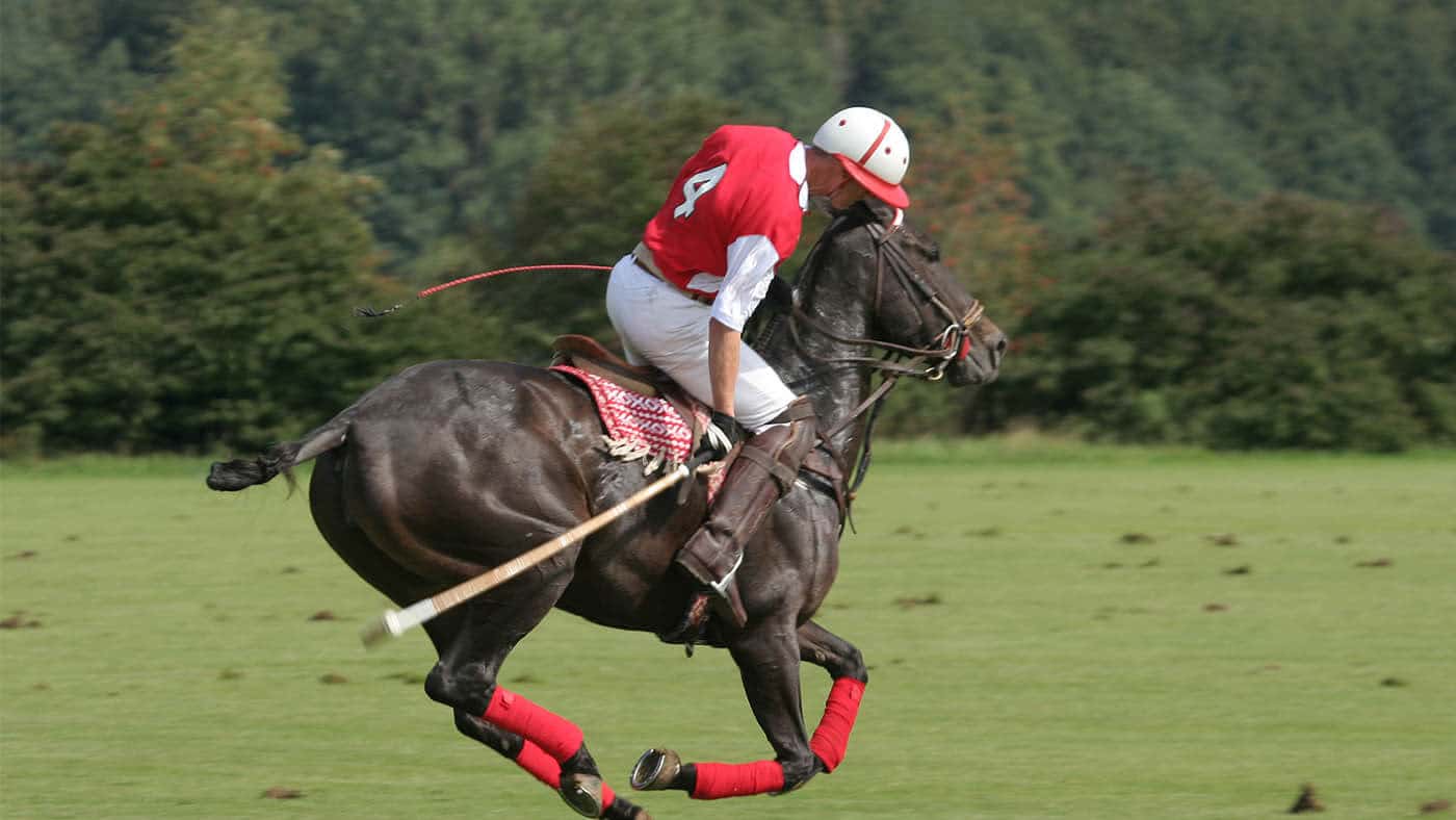 XII FIP World Polo Championship