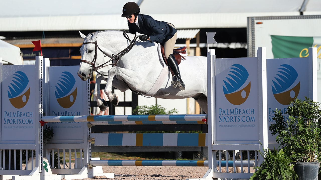 Winter Equestrian Festival Palm Beach County Sports Commission