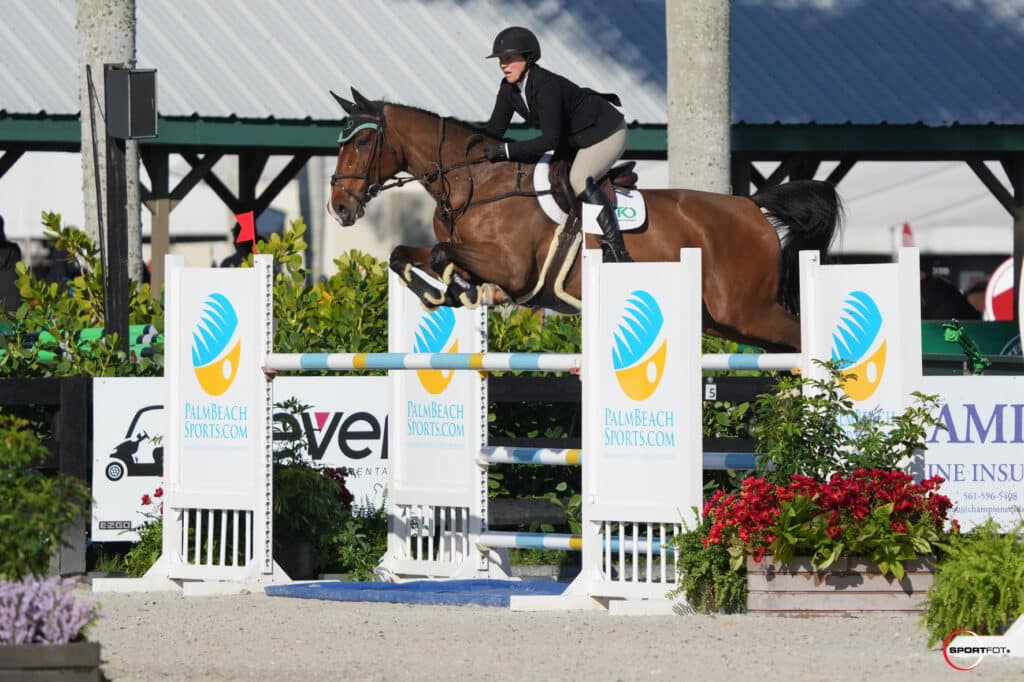 Equestrian Sports Productions (ESP) Holiday & Horses Circuit Palm